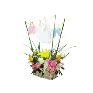 Tendedero de Mellizos