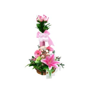 Canasta de Nacimiento Niña