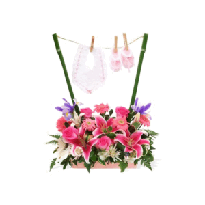 Arreglo Recién Nacida