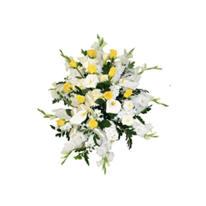 Lágrima de piso de Rosas Amarillas