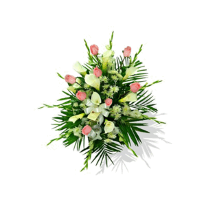 Lágrima de piso Rosas Rosadas