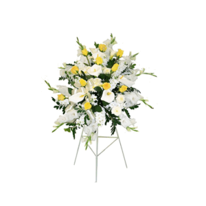 Lágrima en pedestal de Rosas amarillas