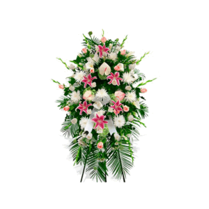 Corona Premium Difunta