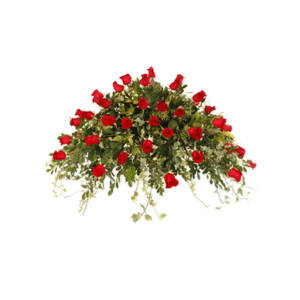 Manto de Rosas Rojas