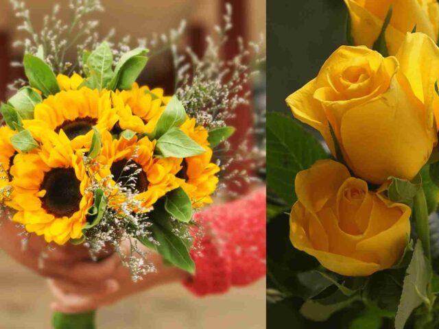 ¿Qué flores obsequiar en cada ocasión?