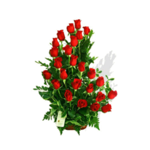 Arreglo de 24 Rosas