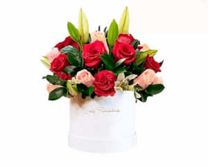 Box de Rosas