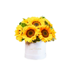 box de girasoles
