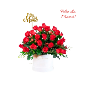 Box de Rosas rojas