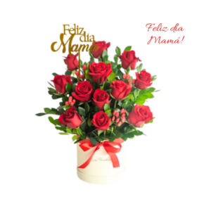 box de 12 rosas