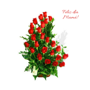 Arreglo de 24 Rosas